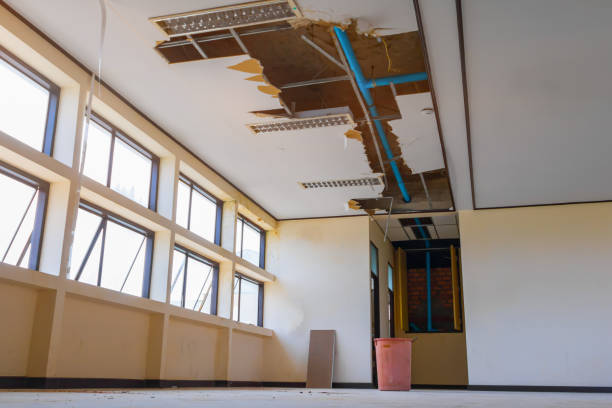 Best 24/7 water damage repair  in Gasport, NY