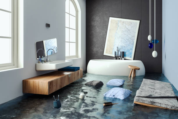 Best Water damage contractors near me  in Gasport, NY