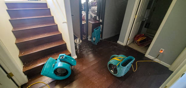 Best Water damage restoration near me  in Gasport, NY