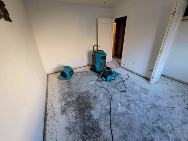 Best Water damage cleanup near me  in Gasport, NY