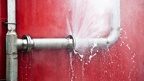Best Local water damage restoration  in Gasport, NY