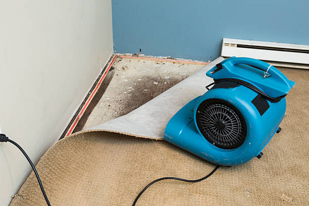Best 24/7 water damage repair  in Gasport, NY